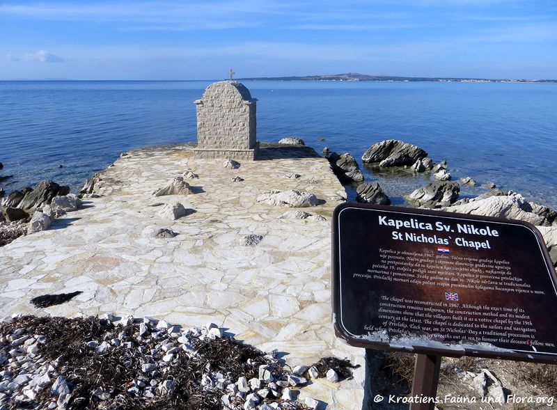 Datei:190209 01350 k.jpg