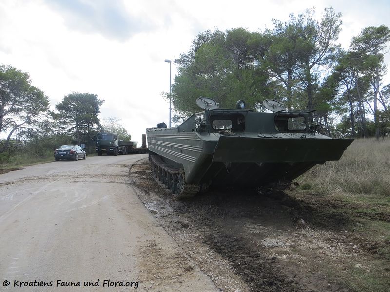 Datei:170912 9455 k.jpg