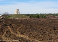 190224 0196 Nin k.jpg