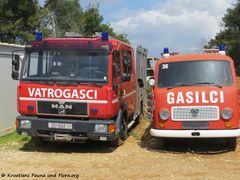 Tam 80 180413 11961.jpg