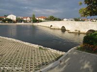 08 151001 2064 k.jpg