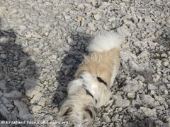 191220 Puschel 1.jpg