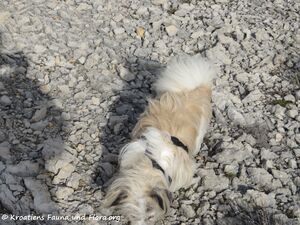 191220 Puschel 1.jpg