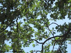 Zemunik Donji 07/2015