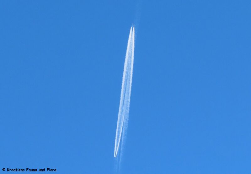 Datei:240121 4628 D.JPG