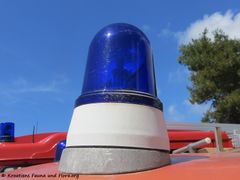 Tam 80 180413 11956.jpg