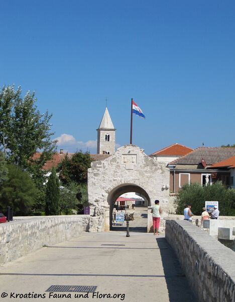 Datei:110910 60 Nin Tor.jpg