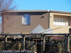 Restoran Toni in Slatina