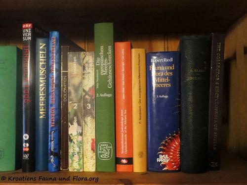 Literatur Fauna IMG 4283 k.jpg