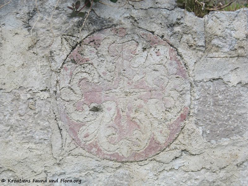 Datei:160515 8672.JPG