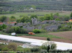 Blick auf die Burg, 04/2019