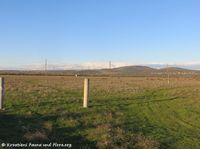 171127 10144 txt.jpg