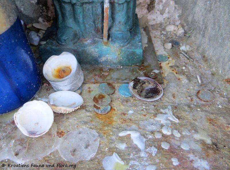 Datei:190209 01355 k.jpg