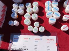 Cremes gegen sämtliche Wehwehchen