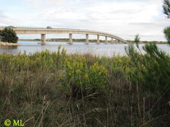 Blick von Vir nach Privlaka, 09/2013