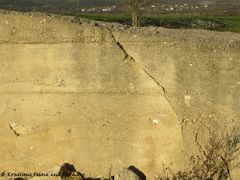 171127 10150 txt.jpg