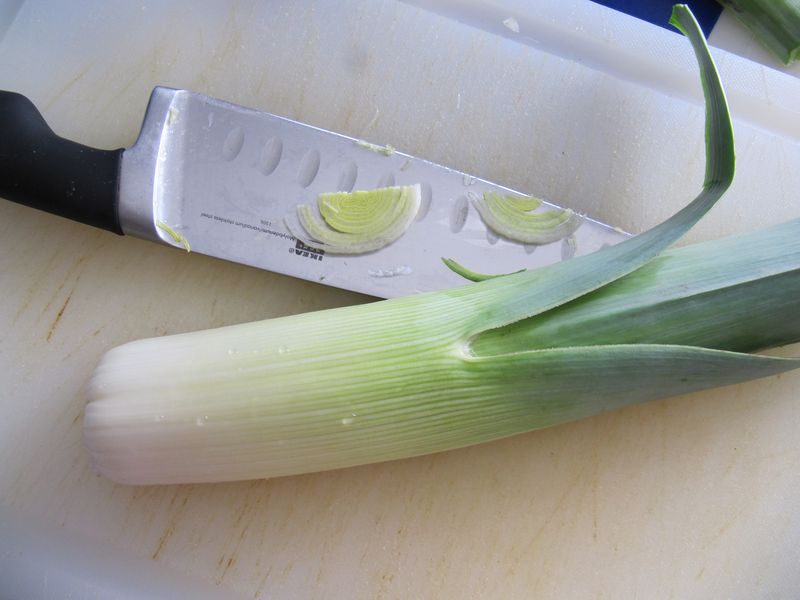 Datei:Allium ampeloprasum Linné, 1753 Zad 160126 7971 k.jpg