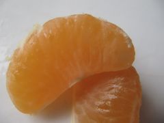 Die Segmente, Zadar 11/2011