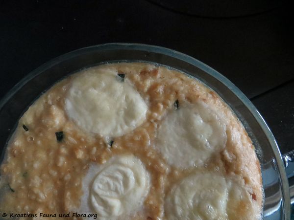 180223 10942 txt.jpg