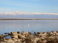 180302 11090 txt.jpg