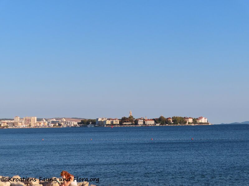 Datei:210930 2724.jpg