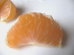 Die Segmente, Zadar 11/2011