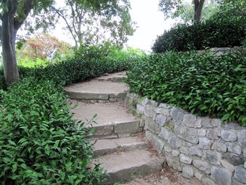 RuscHypo Zad 140827 5663.jpg