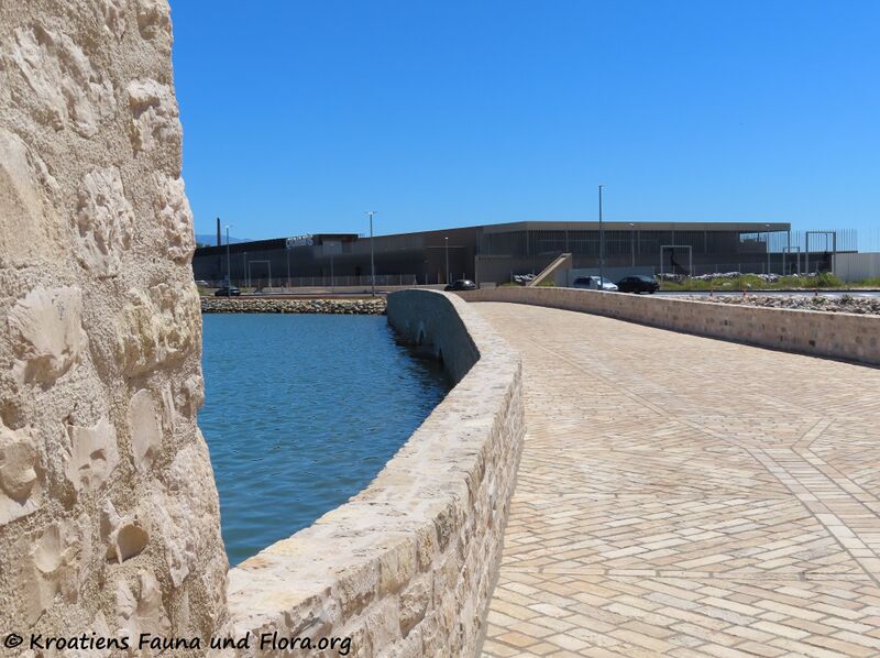 Datei:200708 1048.JPG