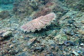 Zadar 09/2020, © Đani Iglić