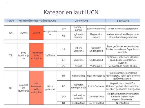 Kategorien Kroatien.jpg