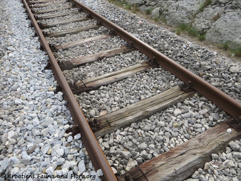 Datei:191031 2038 Eisenbahn.jpg