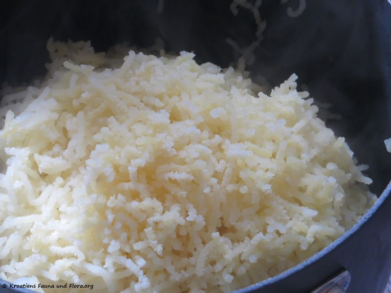 Datei:180221 10922 txt.jpg