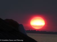 24 190718 1265 k.jpg