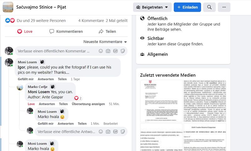 Datei:Dalmatocytisus dalmaticum Erlaubnis.jpg