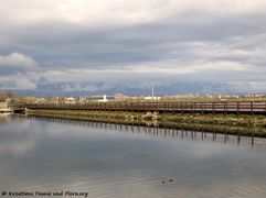 180405 11845 txt.jpg