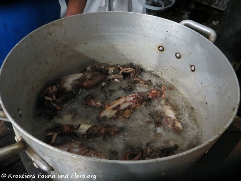 Datei:191109 2210.jpg