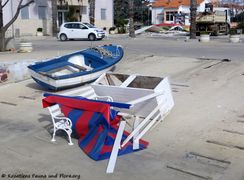 190224 0189 Rathaus k.jpg