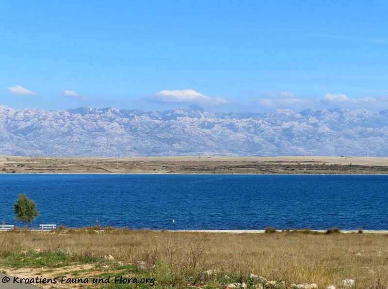 Datei:211028 Sommer im Oktober 2.jpg