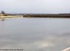 180405 11829 txt.jpg