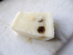 ChamRos Hes 131111 5906.jpg