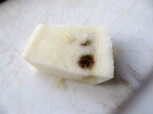 ChamRos Hes 131111 5906.jpg