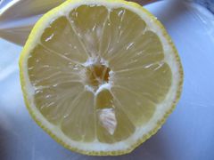 Querschnitt, Zadar 05/2011