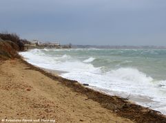 180321 11351 txt.jpg