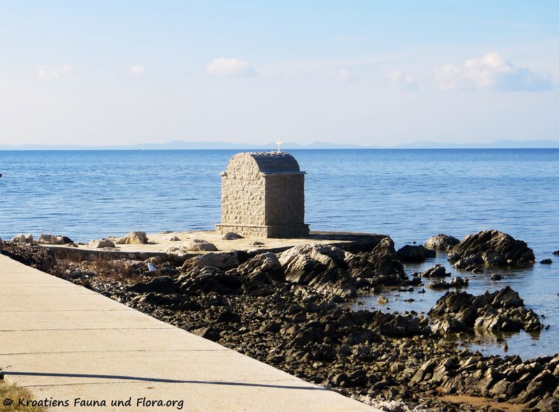 Datei:190209 01349 k.jpg