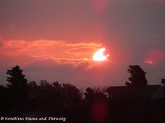 26.10.2020 - Monsieur Jugo setzt sich durch