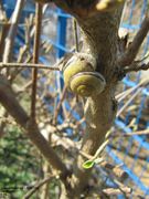 In Winterruhe, Heselbach 04/2011