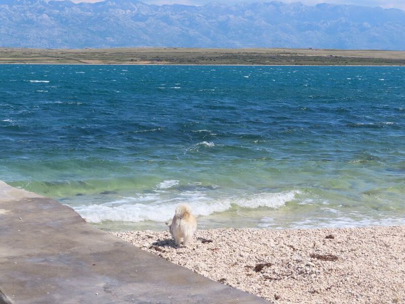 Datei:0 2604221 8537.JPG