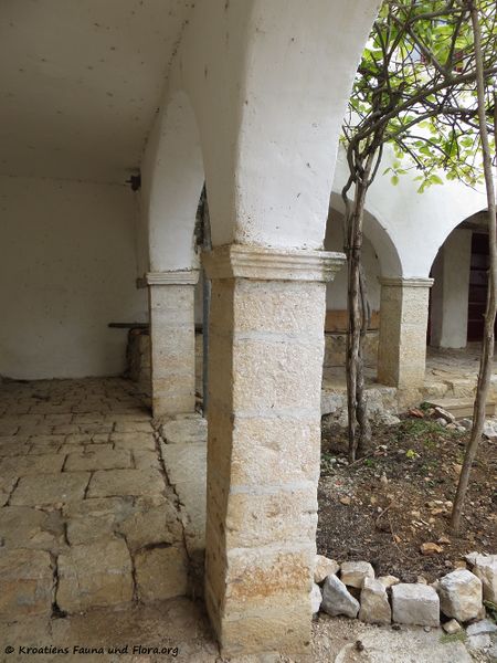 Datei:170421 7175.jpg