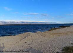 05.11.2020 - Madame im Sparmodus