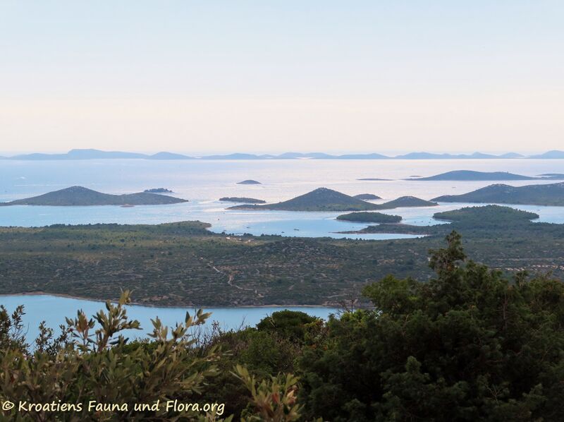 Datei:210918 2673.jpg